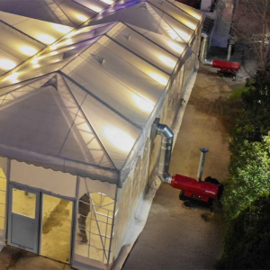 KAUSTERES-PETRELAIOU-1