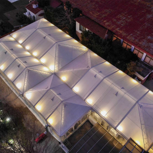 KAUSTERES-PETRELAIOU-3