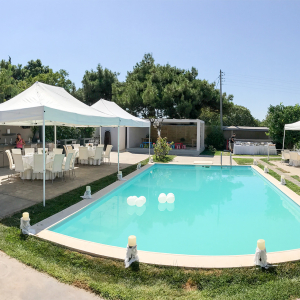 PTYSSOMENES-TENTES-1